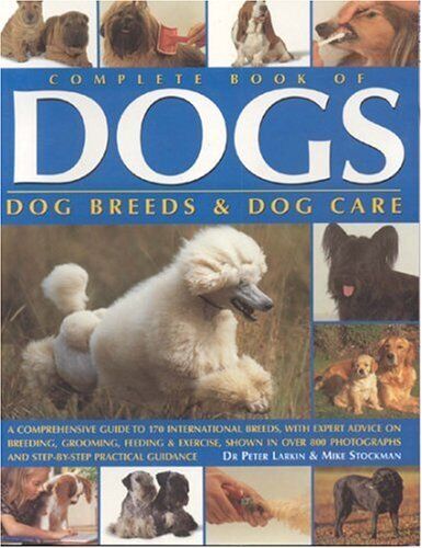 Dog Breeds That Start With H: Complete Guide