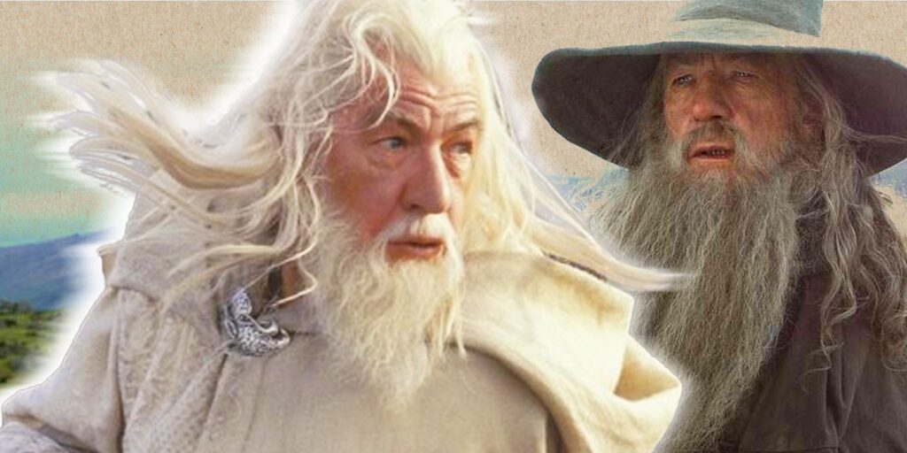 Gandalf the Grey from The Lord of the Rings