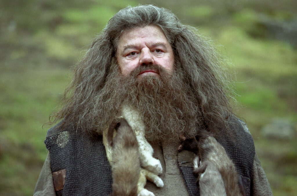 Hagrid's Bushy Beard from Harry Potter