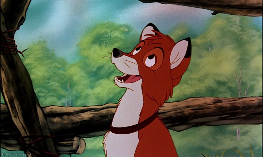 Young Tod found in The Fox and the Hound 