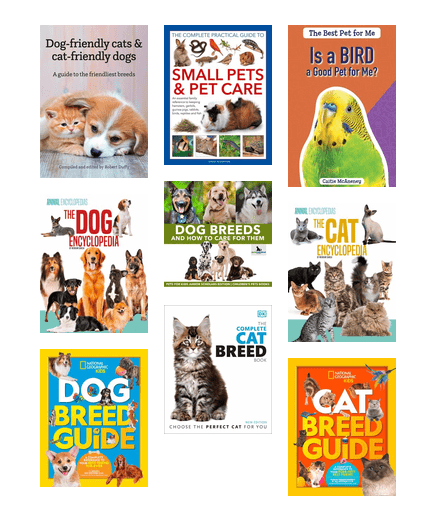 List of Cats That Are Good With Dogs: Pet Guide